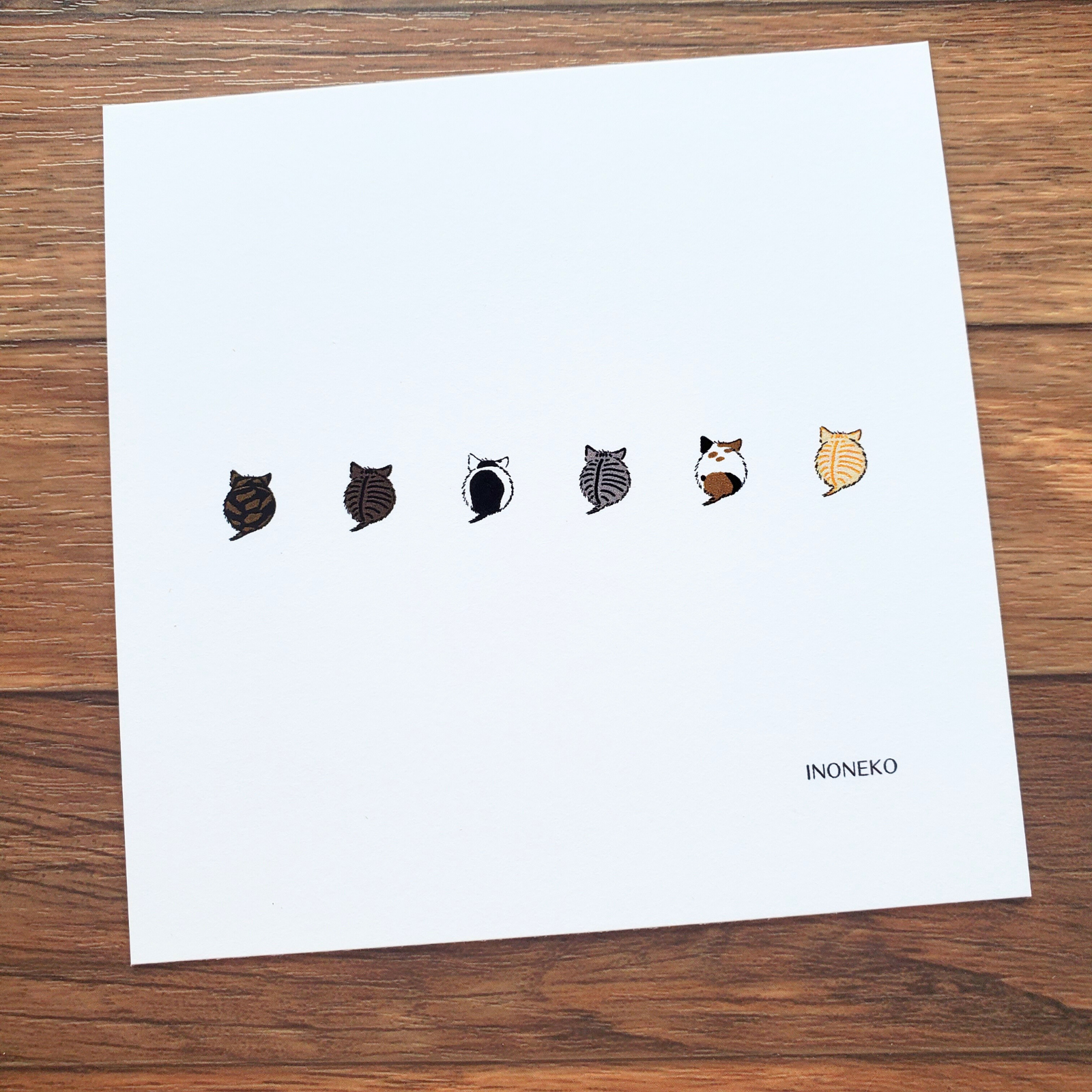 10cmフレームイラスト 仔猫玉 柄