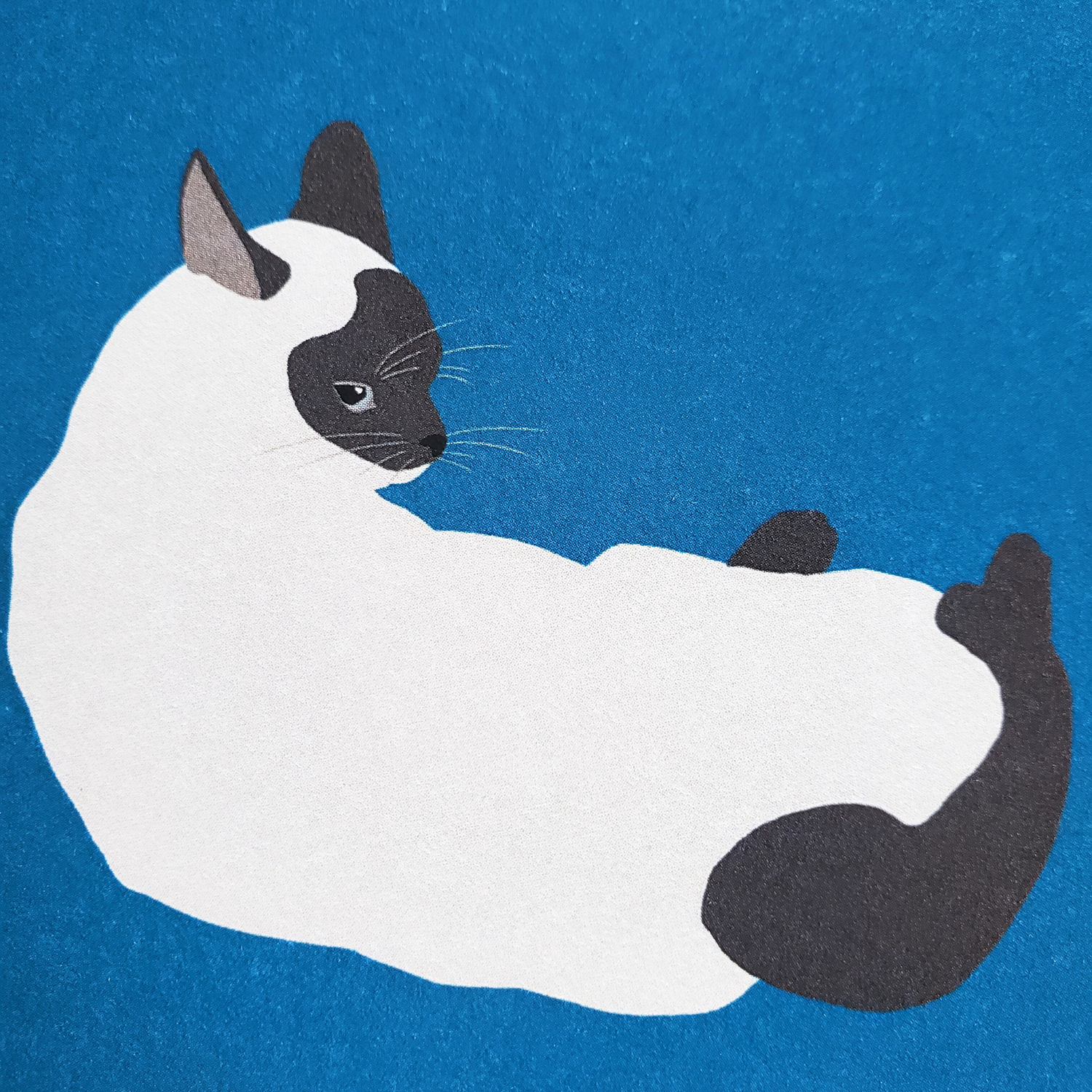 10cmフレームイラスト 見返りシャム猫