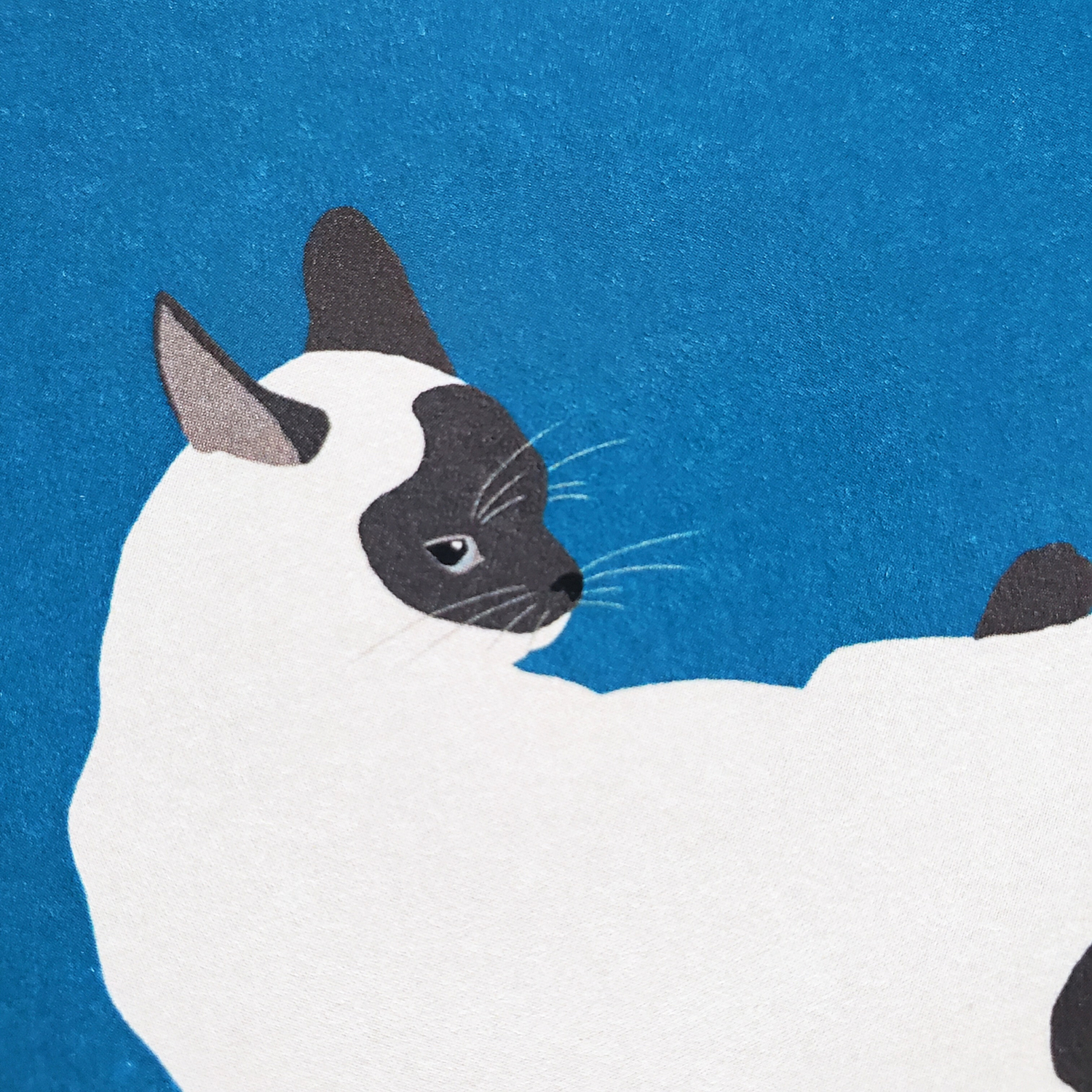 10cmフレームイラスト 見返りシャム猫