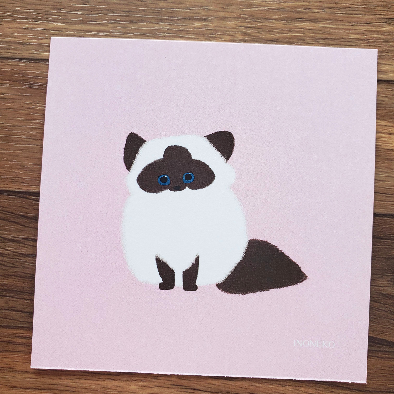 10cmフレームイラスト ヒマラヤン仔猫