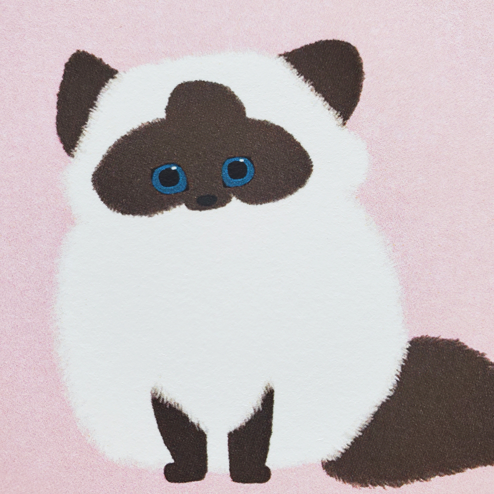 10cmフレームイラスト ヒマラヤン仔猫