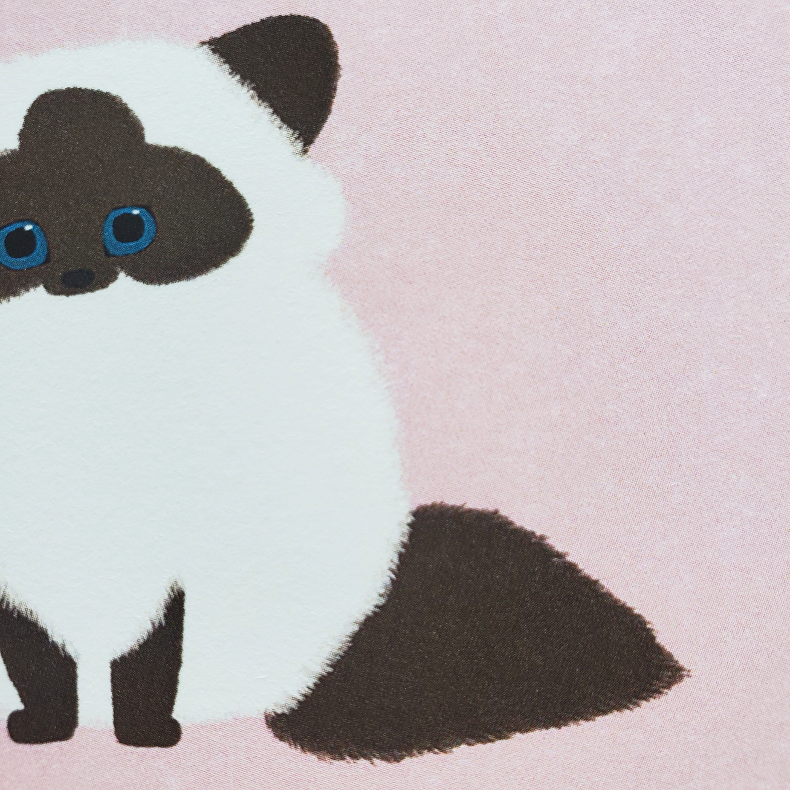 10cmフレームイラスト ヒマラヤン仔猫