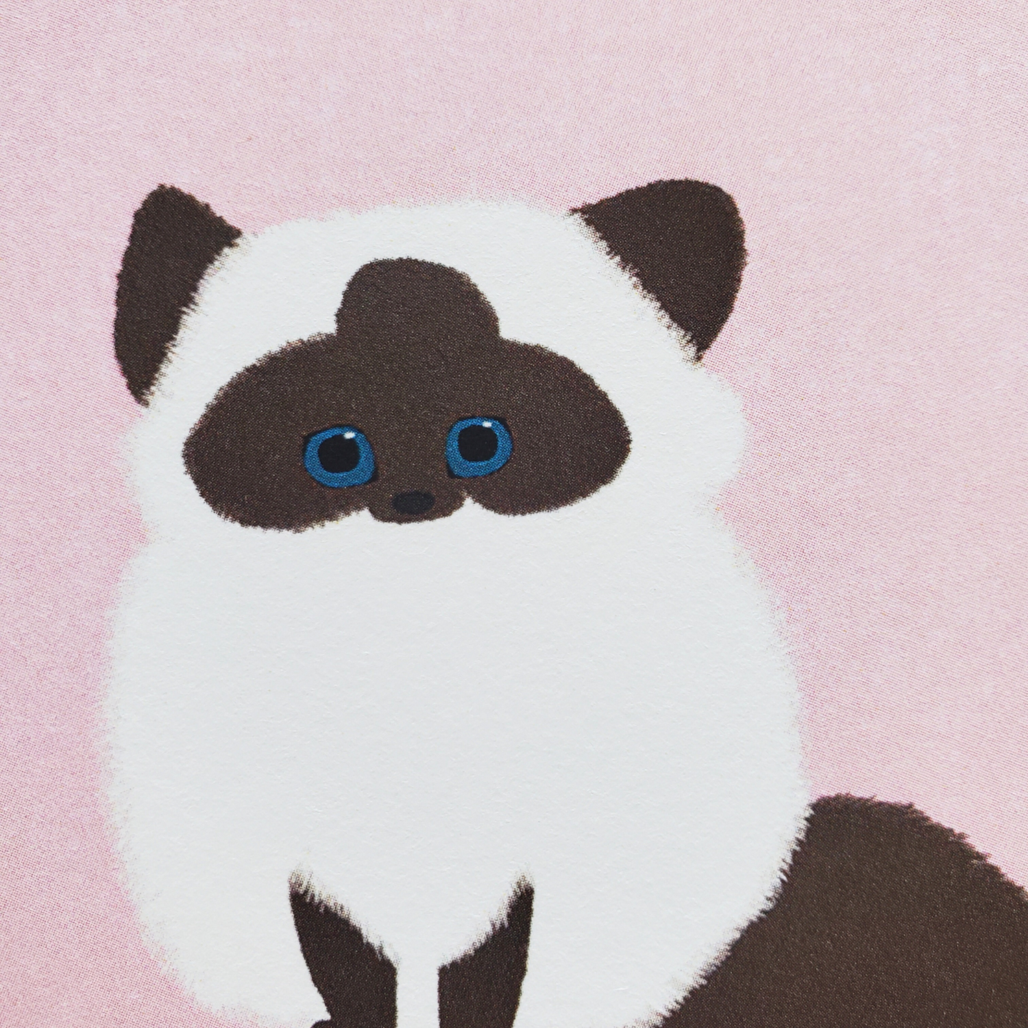 10cmフレームイラスト ヒマラヤン仔猫