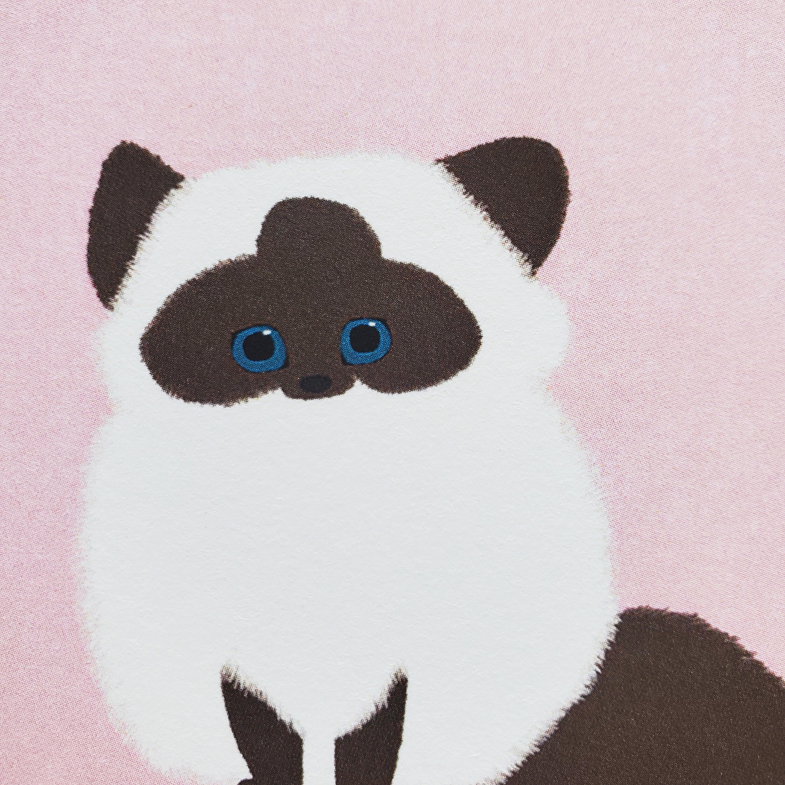 10cmフレームイラスト ヒマラヤン仔猫