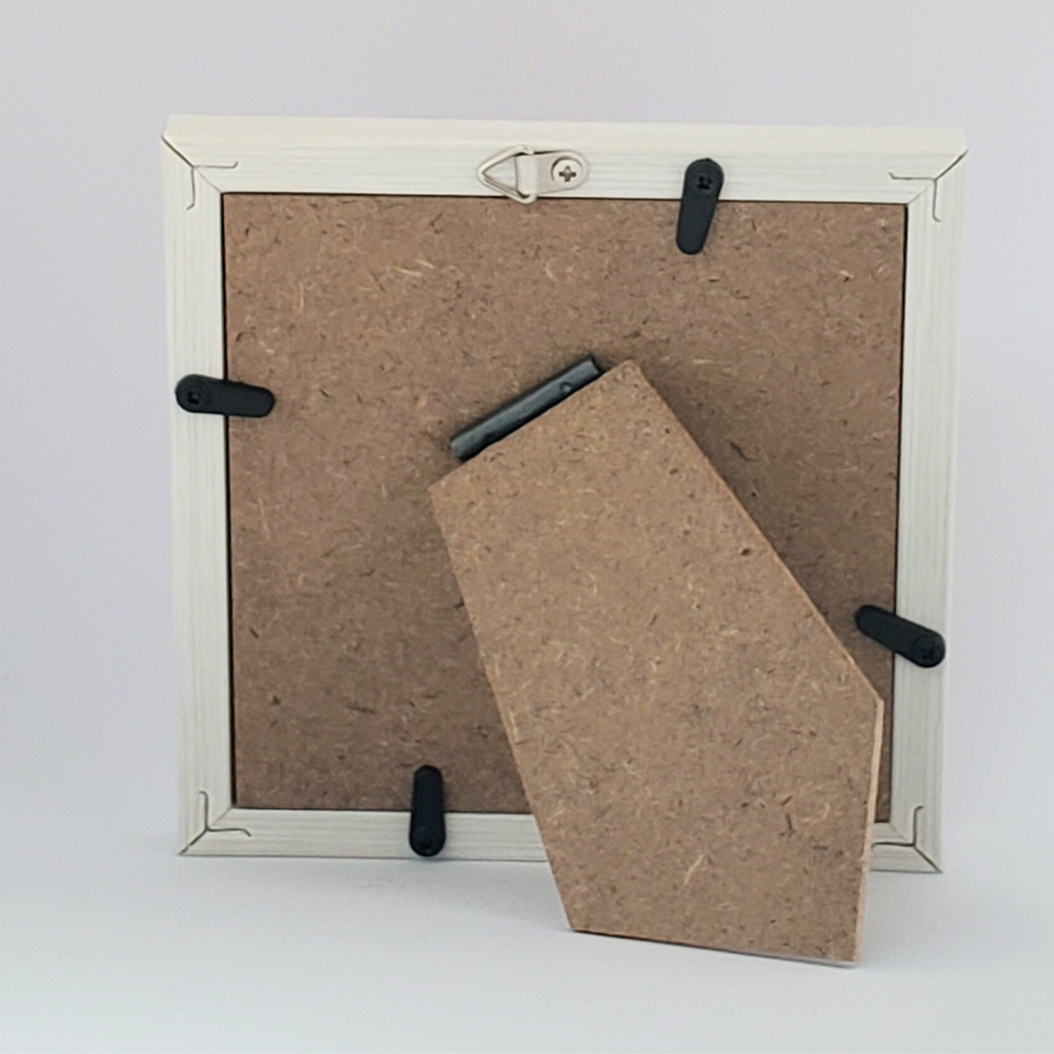 10cmフレームイラスト ヒマラヤン仔猫