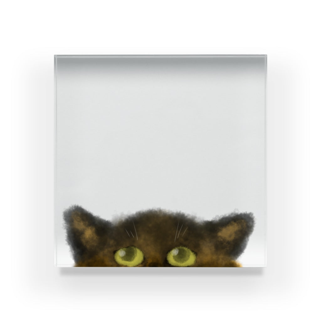 じー…。見つめるネコチャン(サビねこ) アクリルブロック