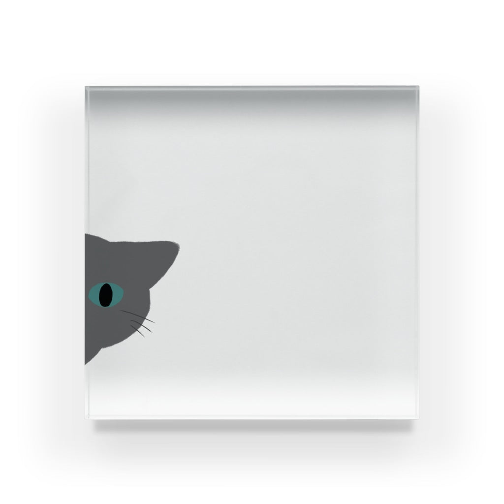 アクリルブロック ねこはみた
