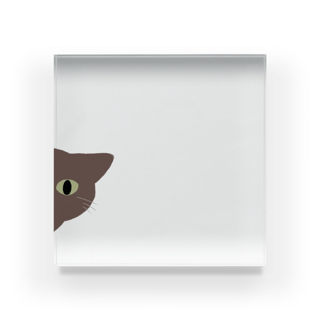 アクリルブロック ねこはみた