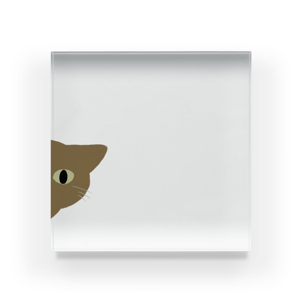 アクリルブロック ねこはみた