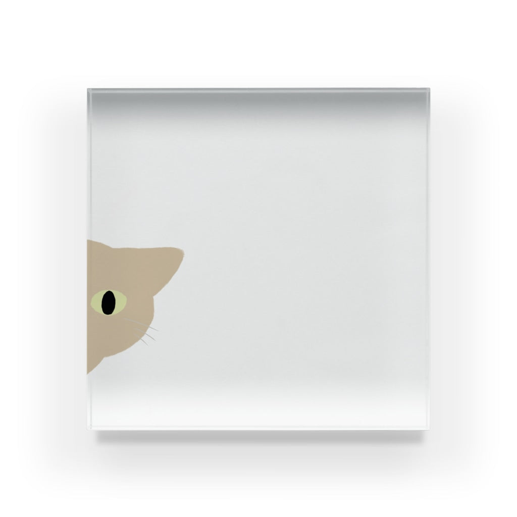 アクリルブロック ねこはみた