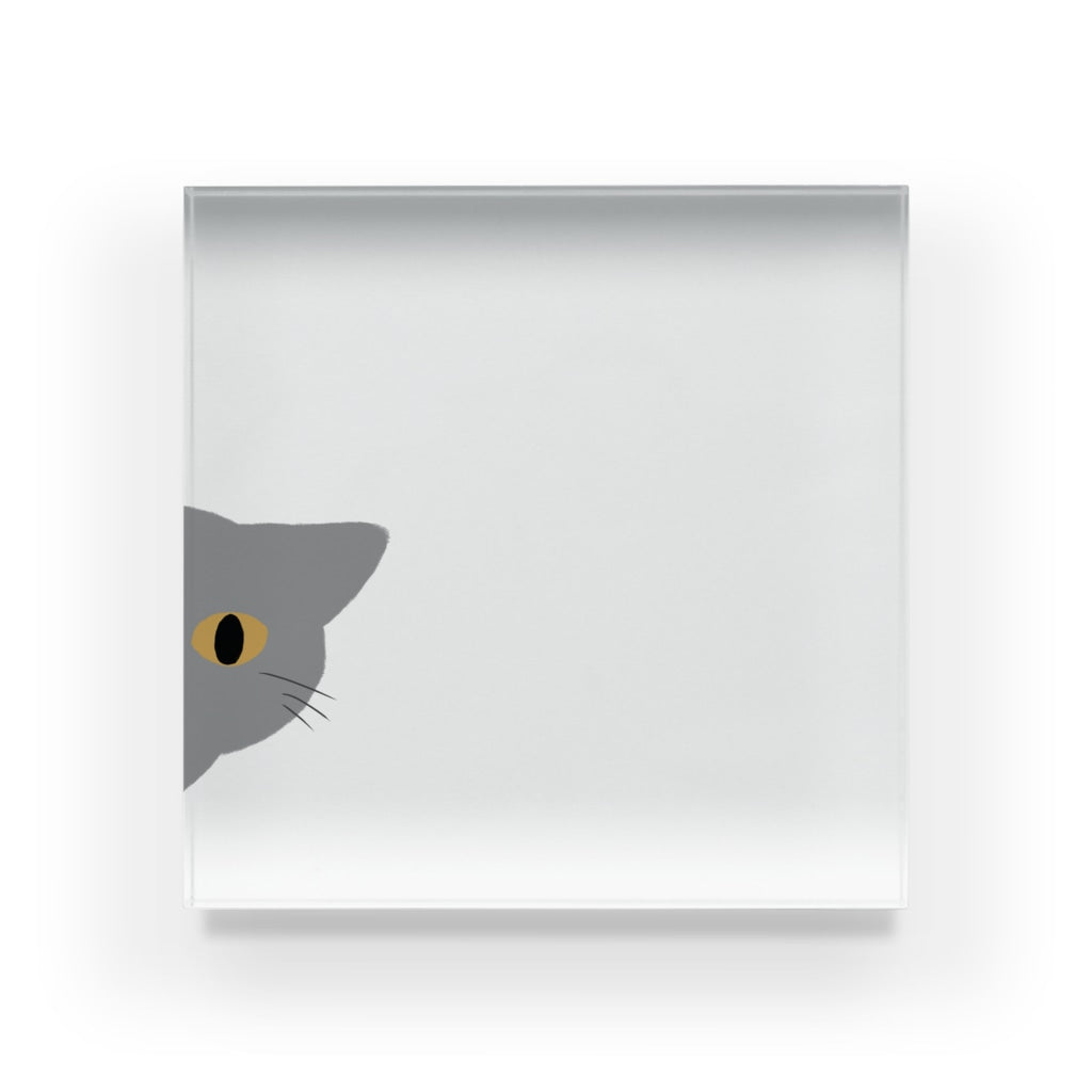 アクリルブロック ねこはみた