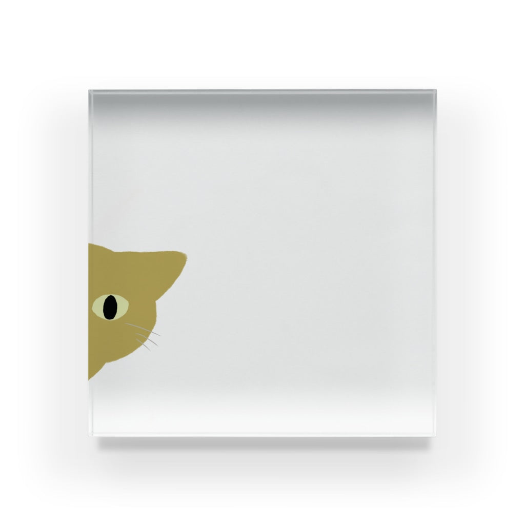 アクリルブロック ねこはみた