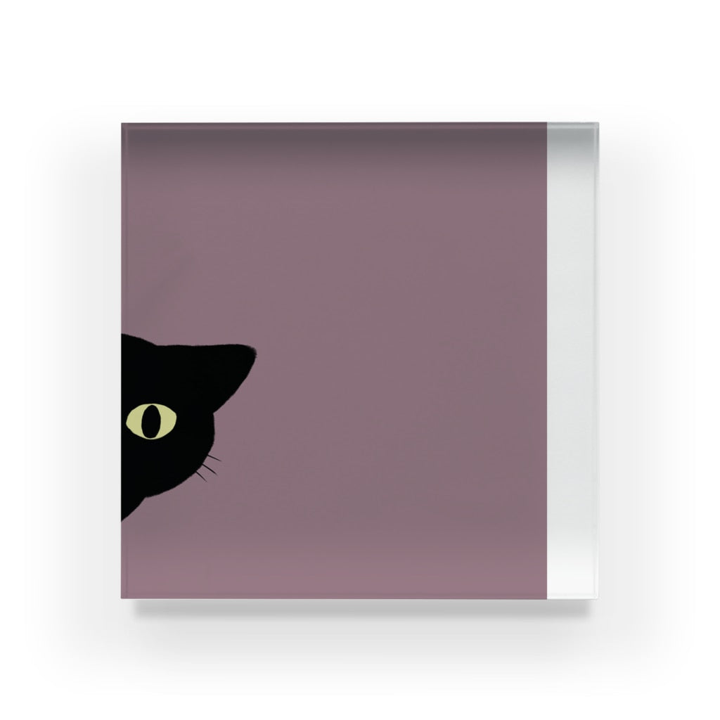 アクリルブロック ねこはみた