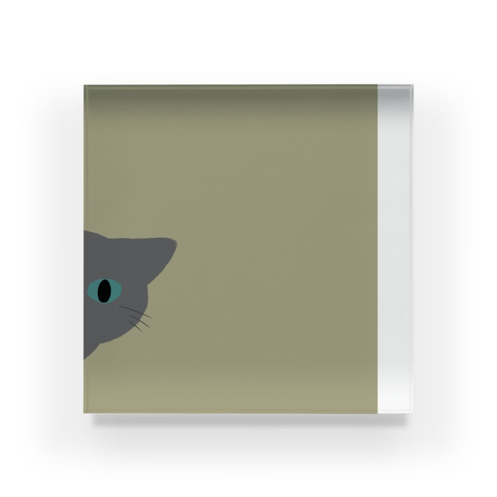 アクリルブロック ねこはみた