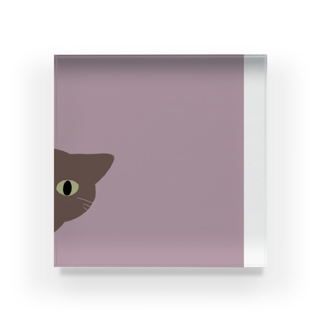 アクリルブロック ねこはみた