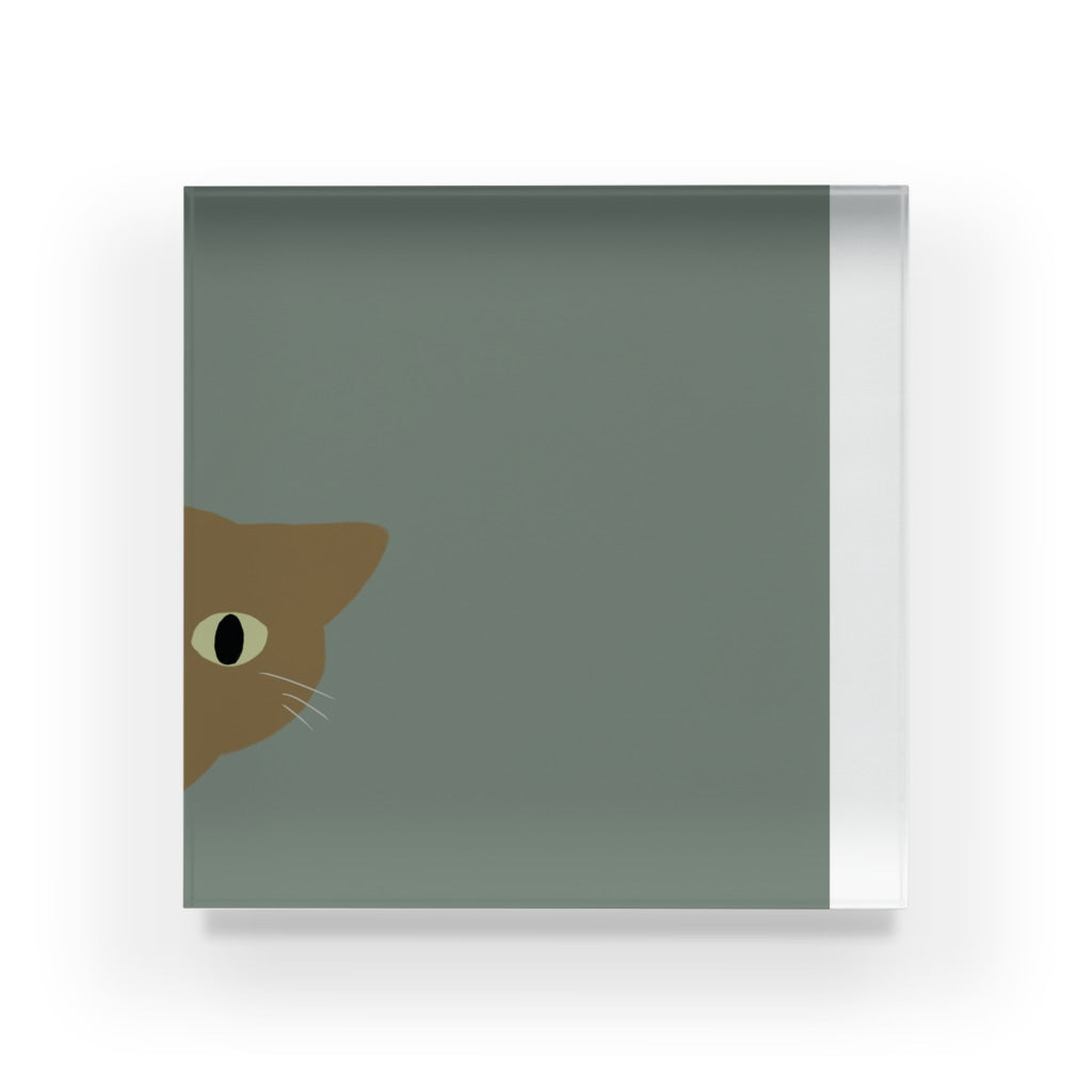 アクリルブロック ねこはみた