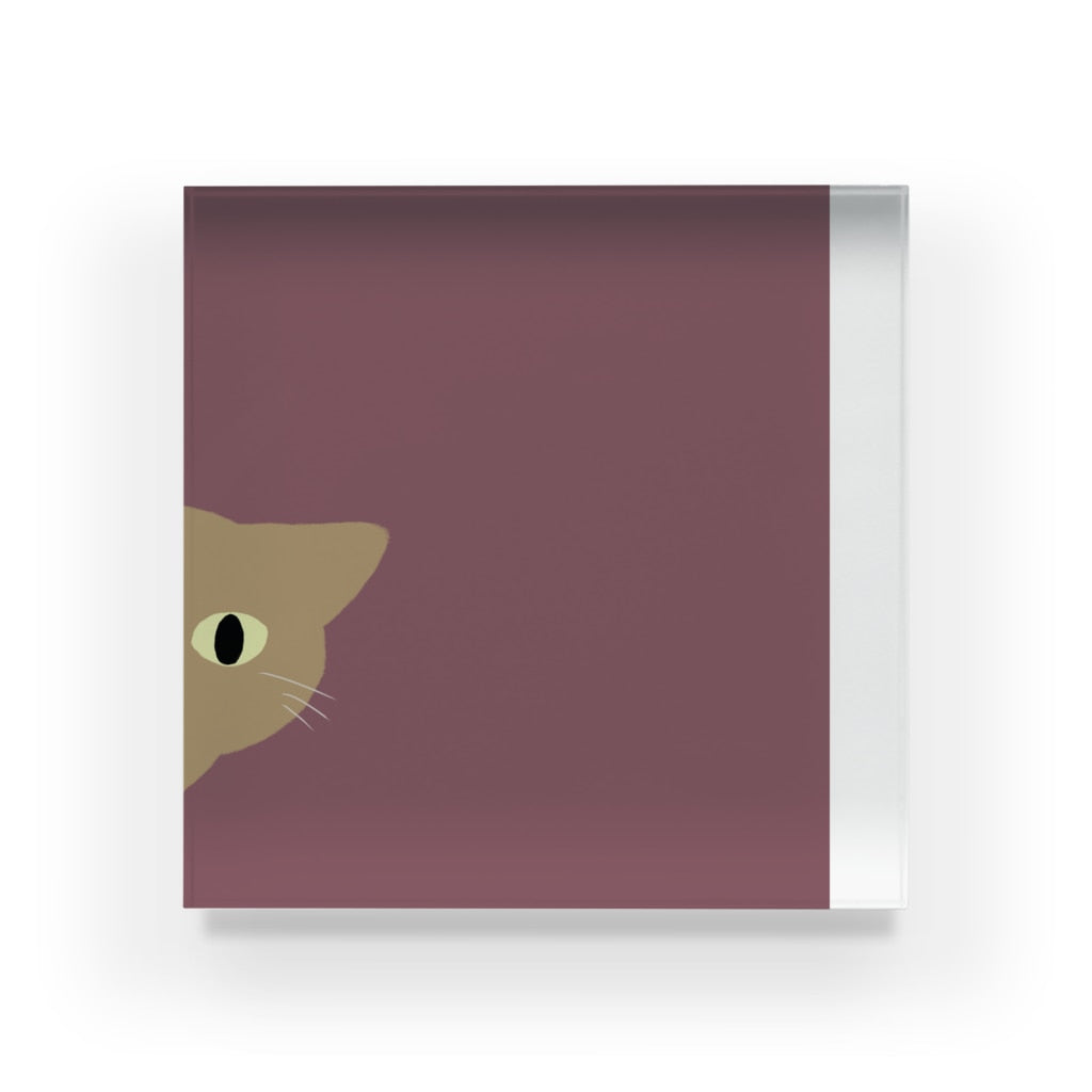 アクリルブロック ねこはみた