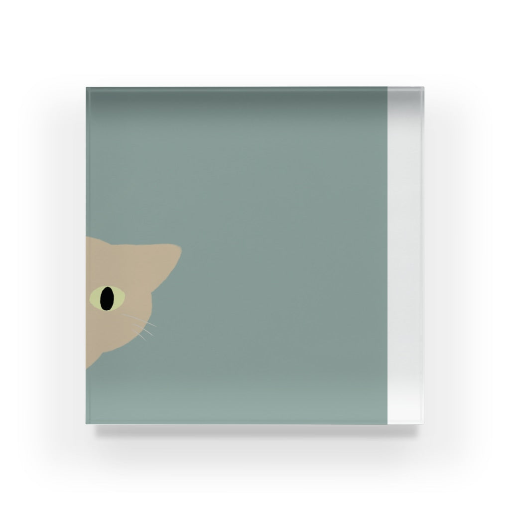 アクリルブロック ねこはみた
