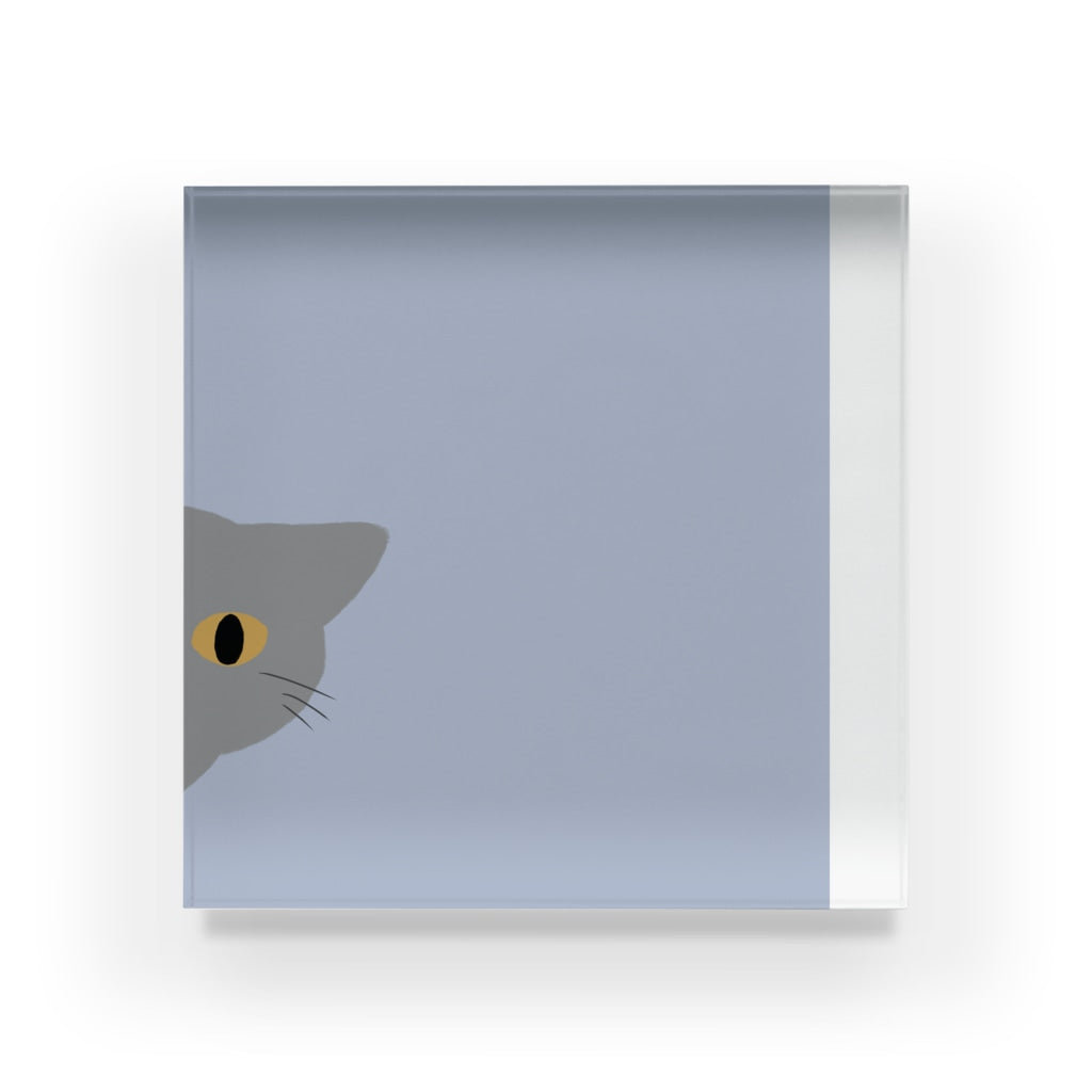 アクリルブロック ねこはみた