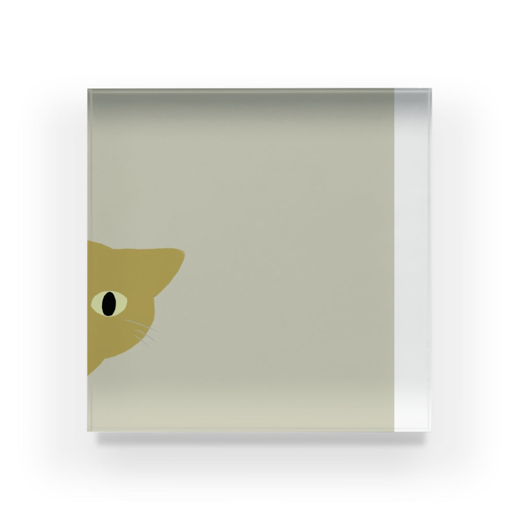 アクリルブロック ねこはみた