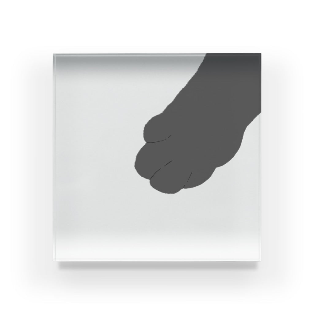 アクリルブロック おじゃまするにゃ@ねこのおてて