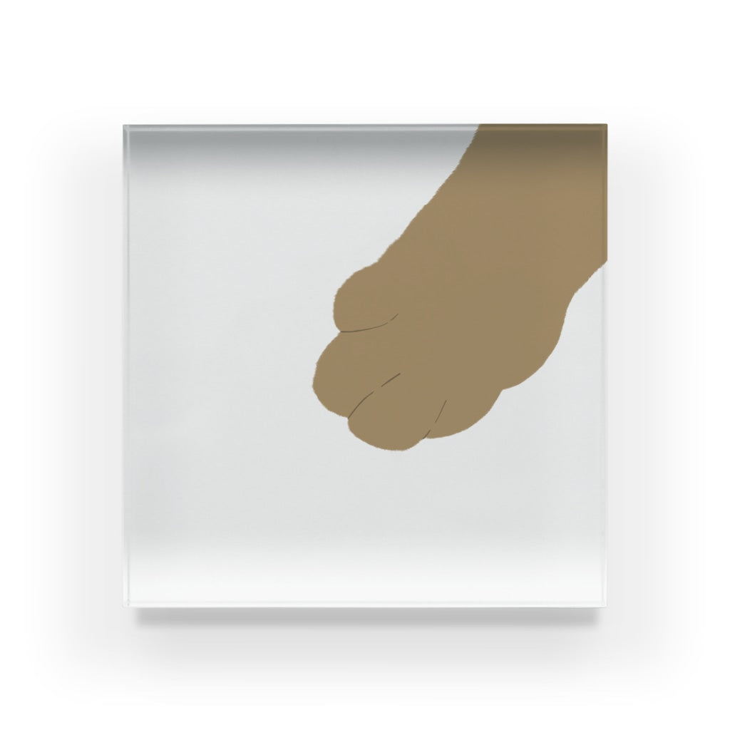 アクリルブロック おじゃまするにゃ@ねこのおてて