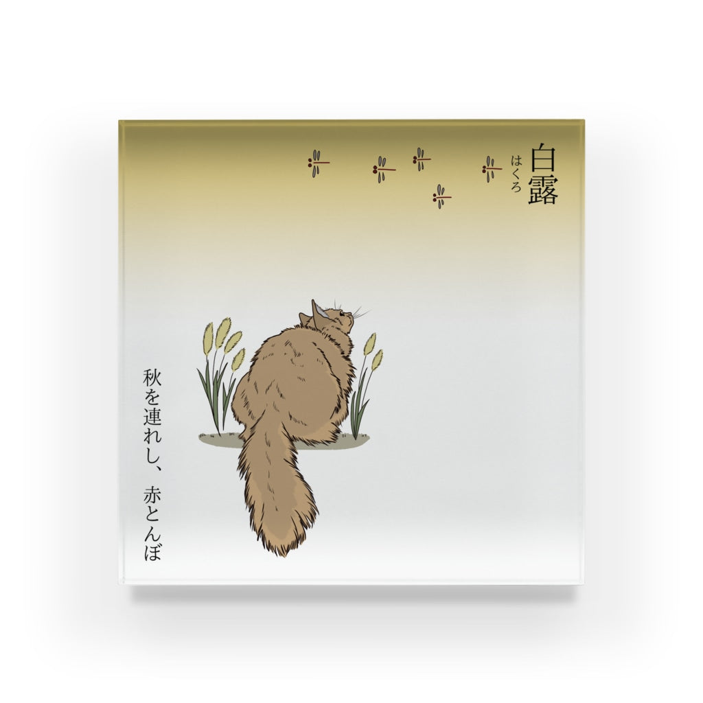 アクリルブロック 白露 赤とんぼを狙う猫