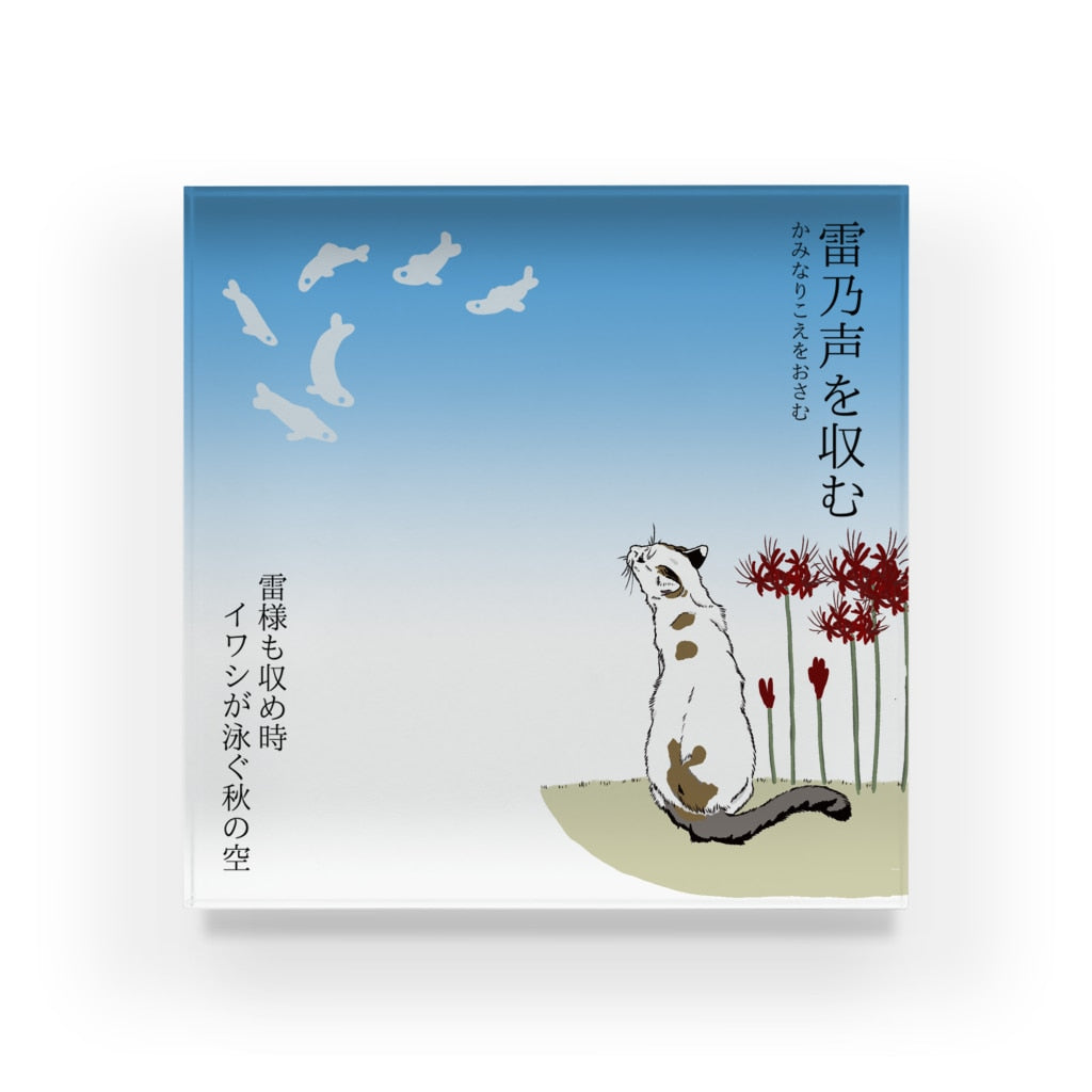 アクリルブロック 雷乃声を収む イワシ雲を狙う猫