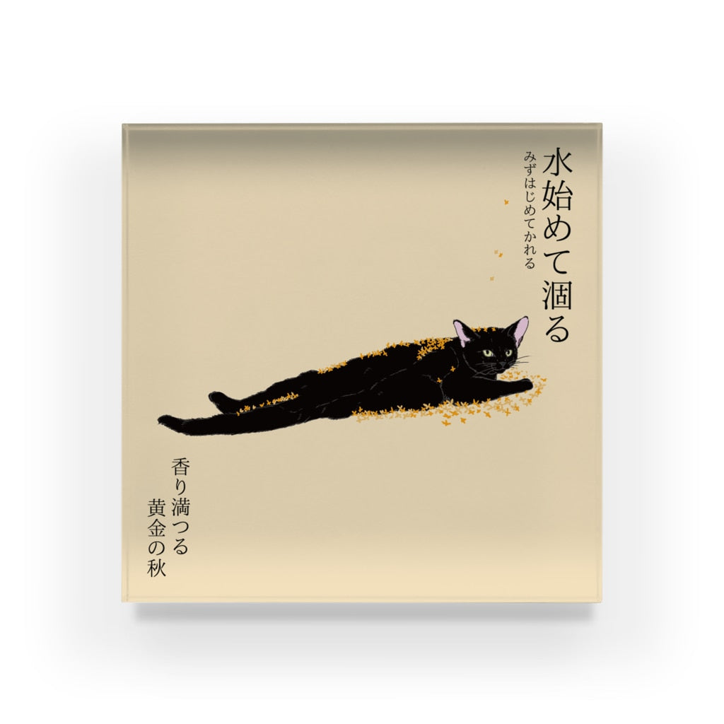 アクリルブロック 水始めて涸る