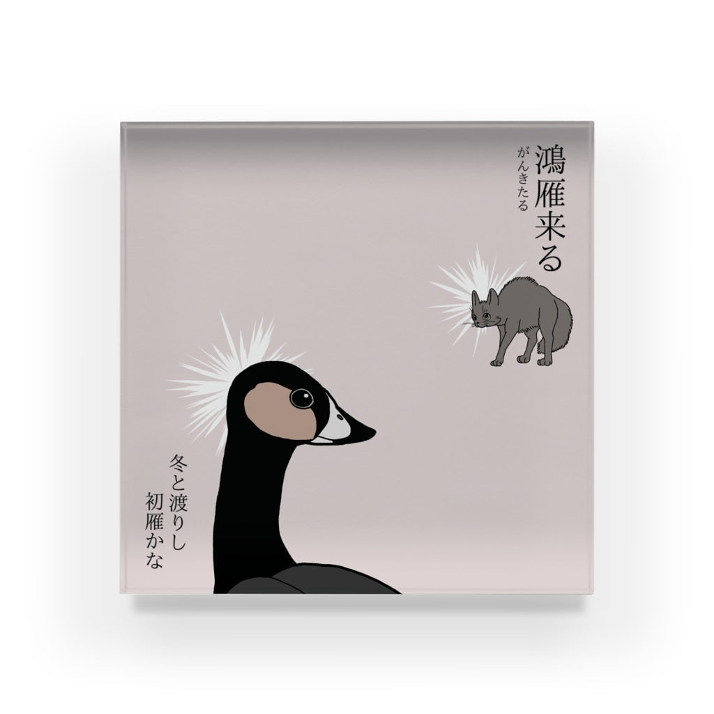 アクリルブロック 鴻雁来る 狙う猫と狙われる雁