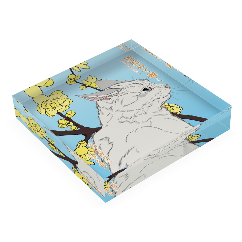 アクリルブロック 雉始めて雊く 蠟梅を鑑賞する猫