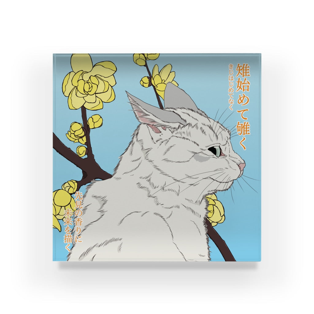 アクリルブロック 雉始めて雊く 蠟梅を鑑賞する猫