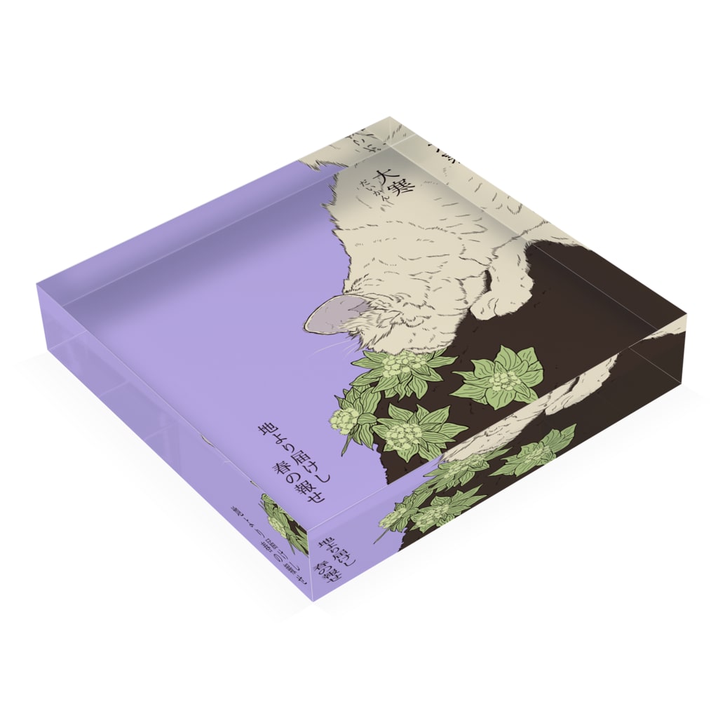 アクリルブロック 大寒 フキノトウを見つけた猫