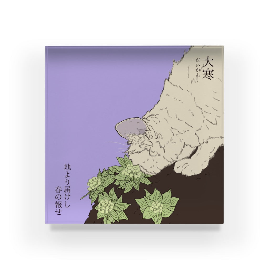 アクリルブロック 大寒 フキノトウを見つけた猫