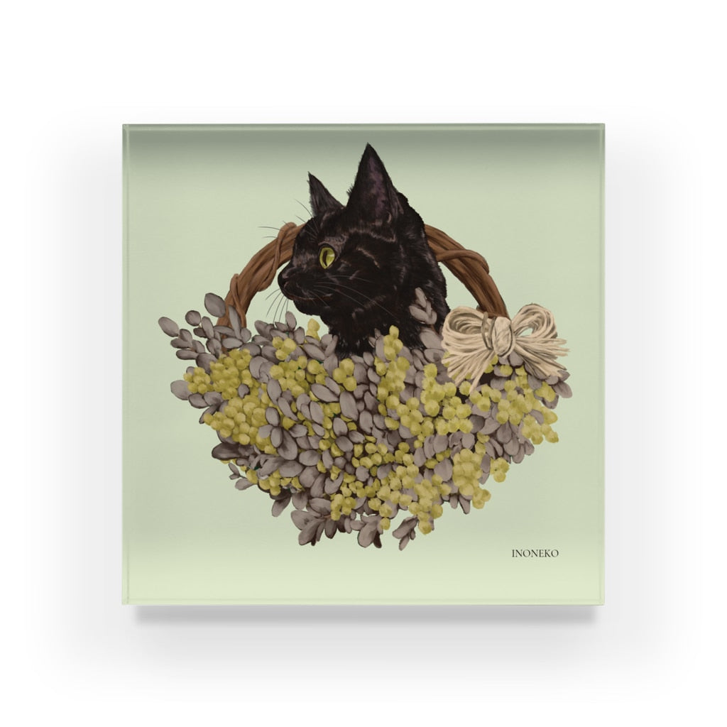 ミモザと黒猫 アクリルブロック