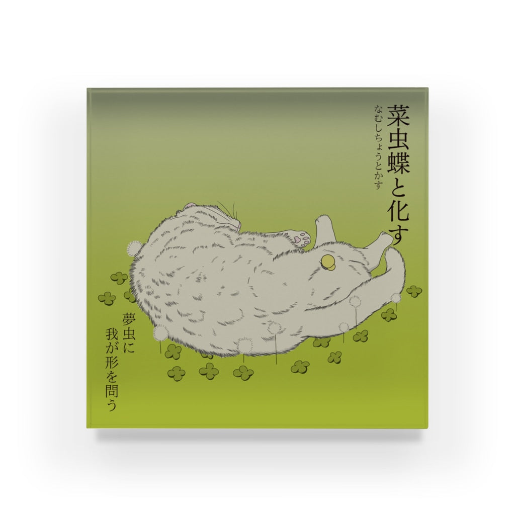 アクリルブロック 菜虫蝶と化す 花畑でお昼寝な白猫