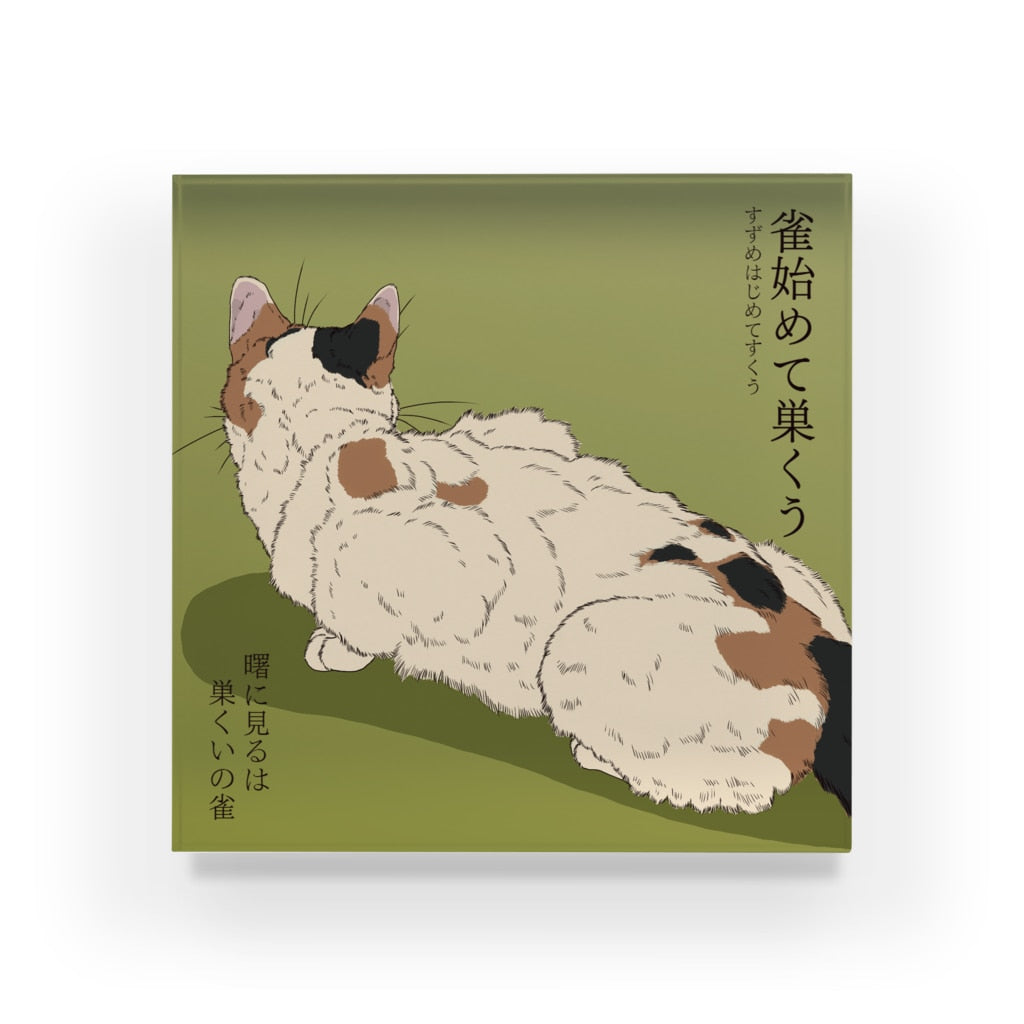 アクリルブロック 雀始めて巣くう 雀を狙う三毛猫