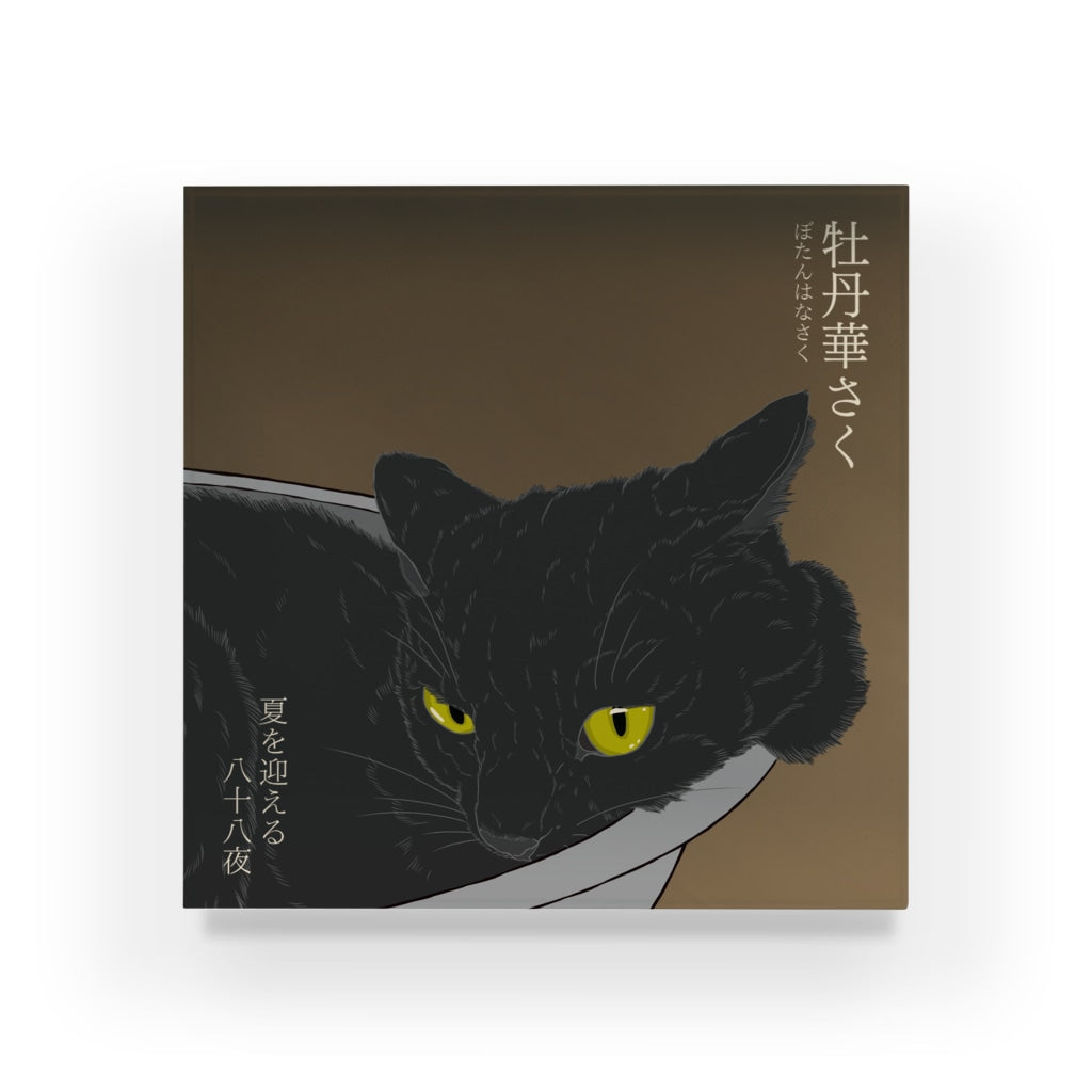アクリルブロック 牡丹華さく 猫鍋で涼む黒猫 – INONEKO店