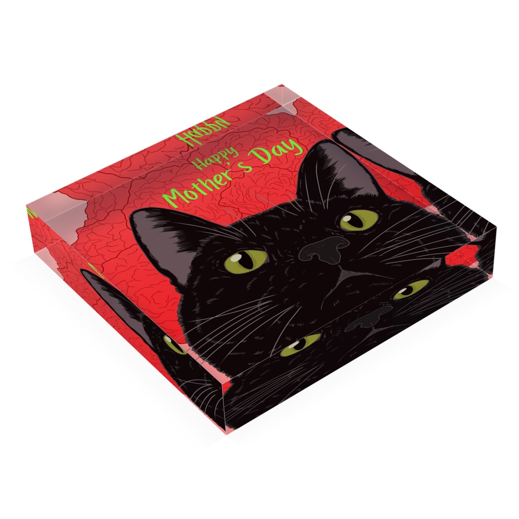 アクリルブロック 母の日 カーネーションでお祝いする黒猫