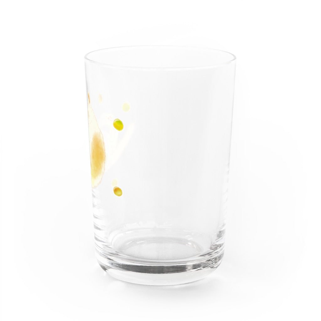 梅の妖精 梅さん 梅酒 グラス