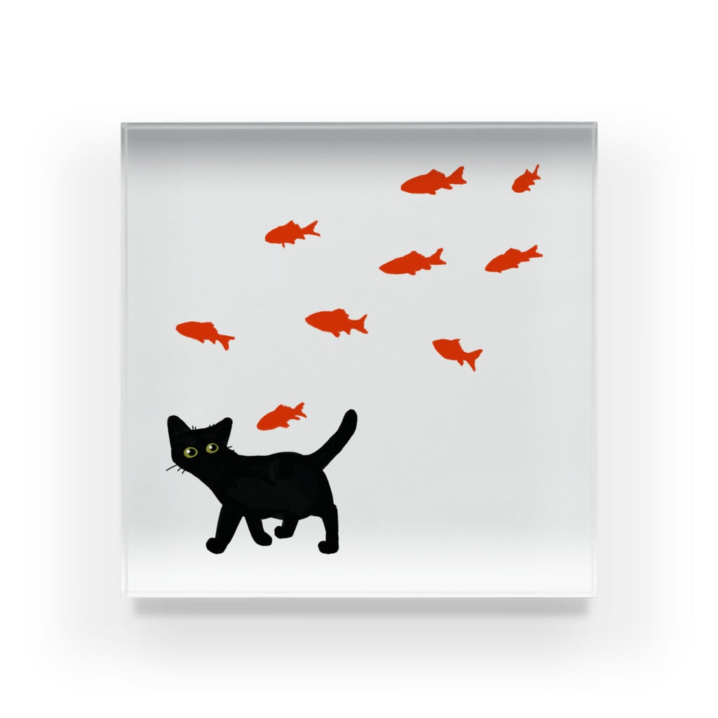 くろねこの黒豆さんぽ 小赤金魚といっしょ アクリルブロック
