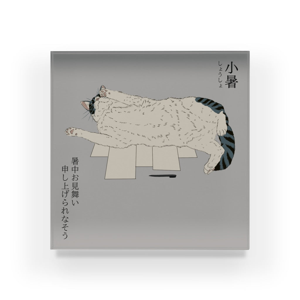 アクリルブロック 小暑 宛名書きを妨害するサバトラ白猫