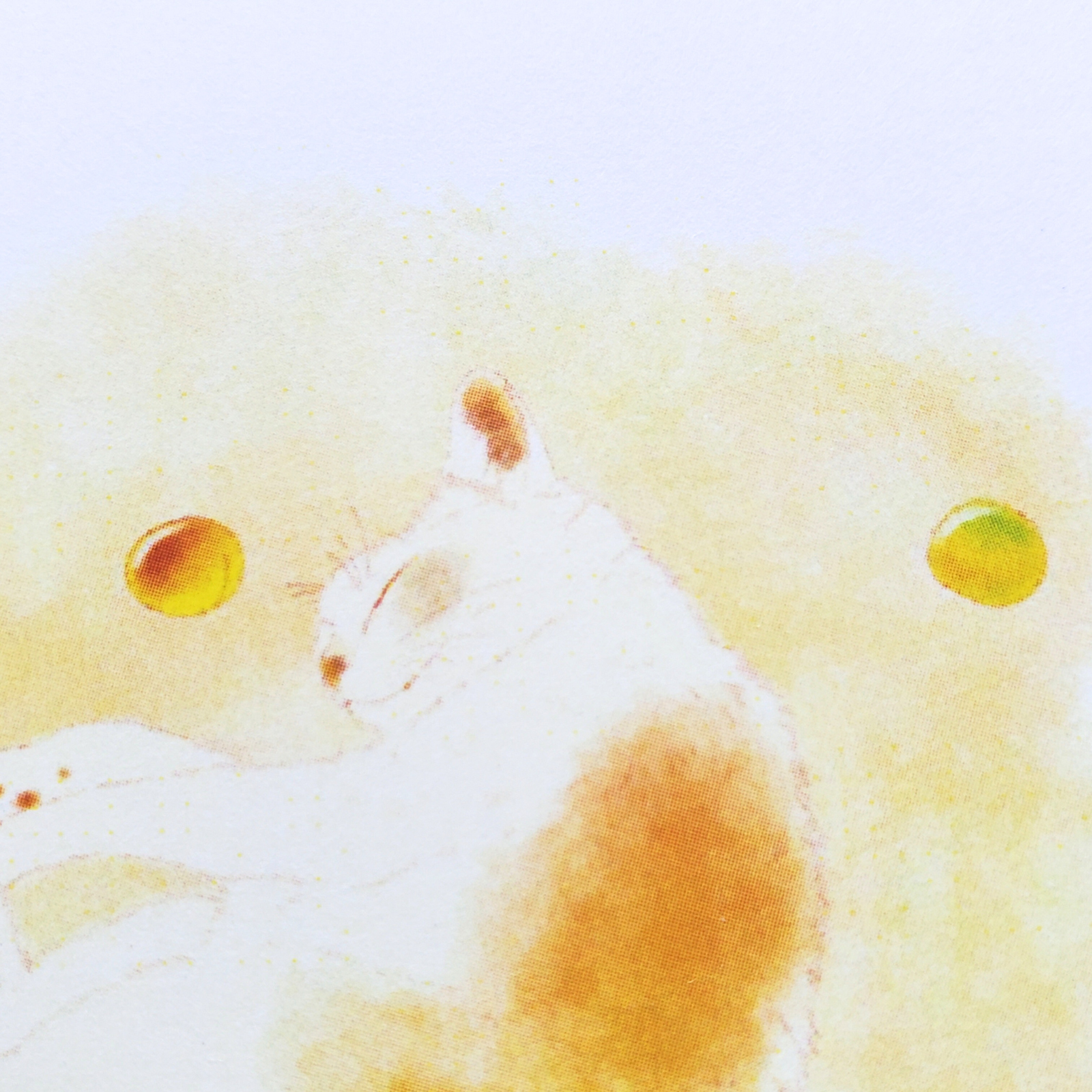 10cmフレームイラスト 梅酒の梅さん