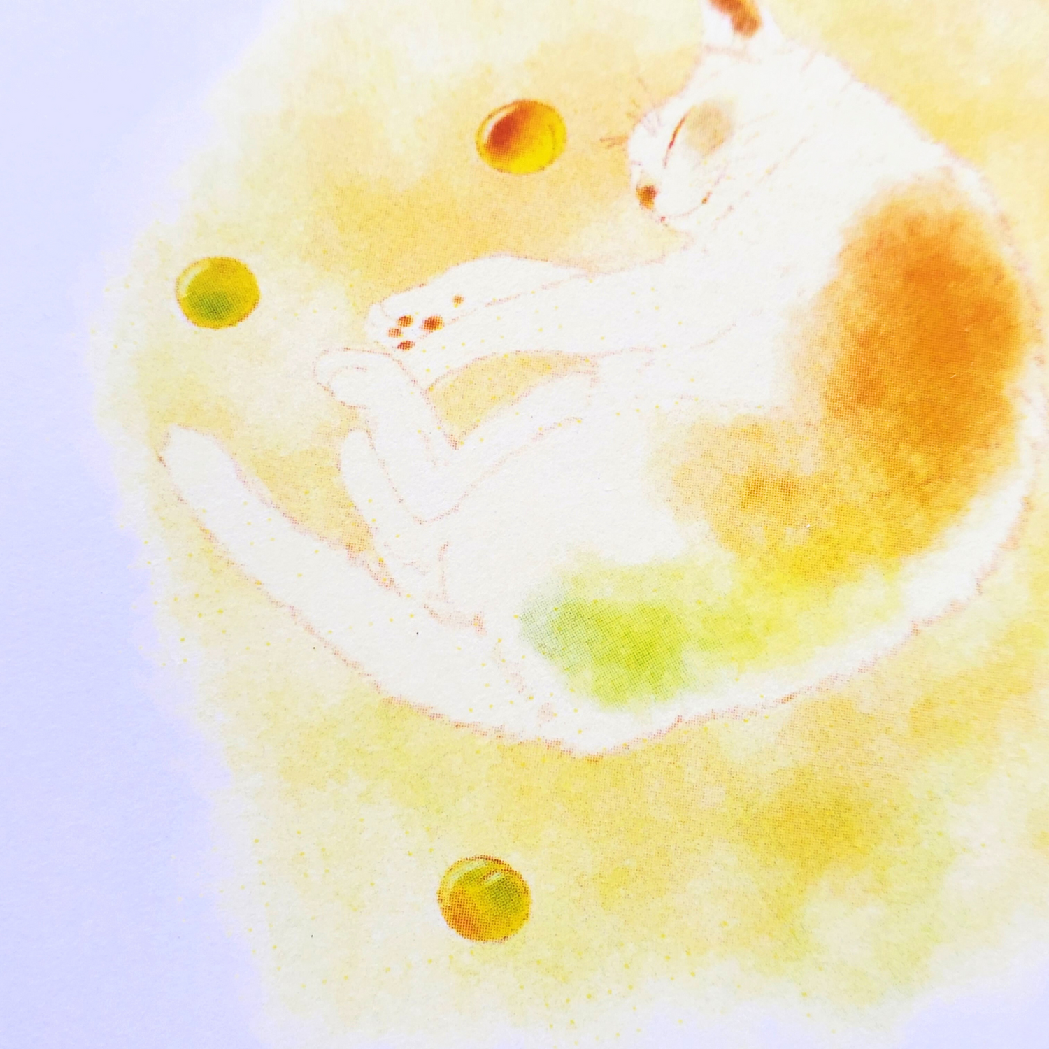 10cmフレームイラスト 梅酒の梅さん