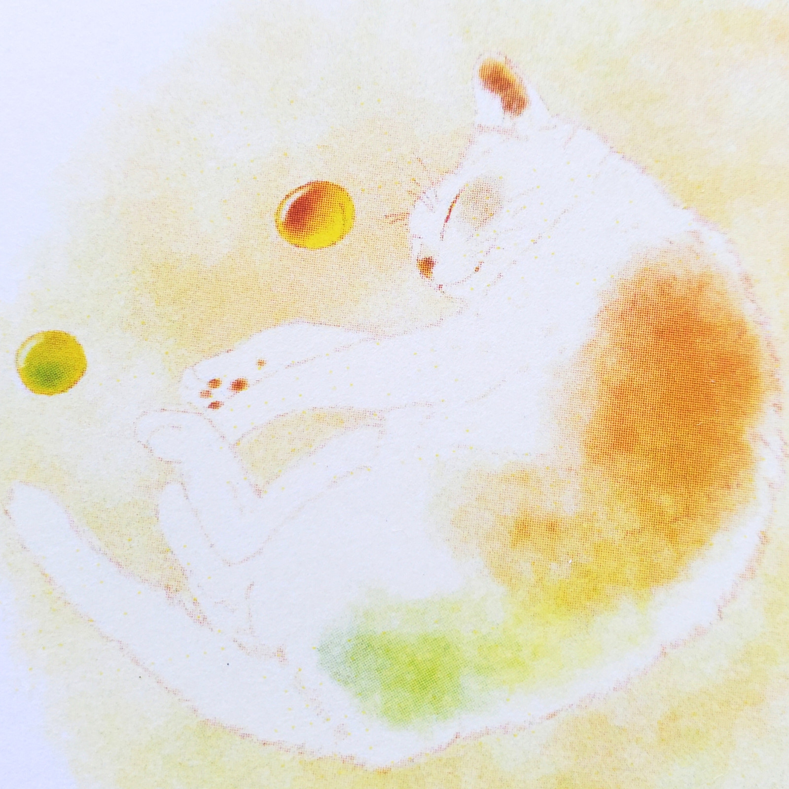 10cmフレームイラスト 梅酒の梅さん