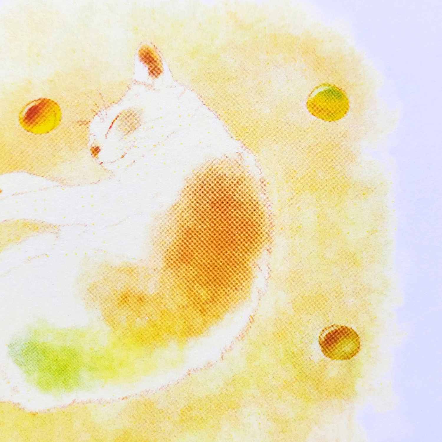 10cmフレームイラスト 梅酒の梅さん