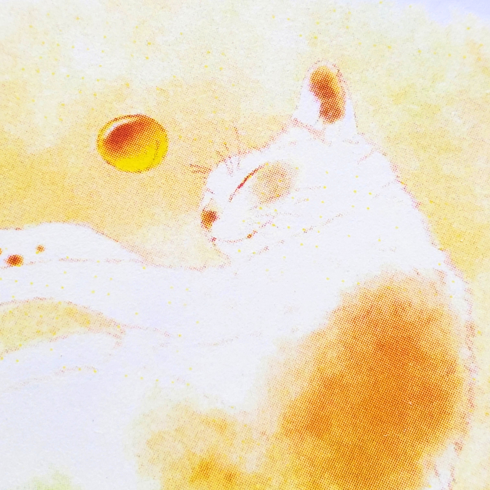 10cmフレームイラスト 梅酒の梅さん