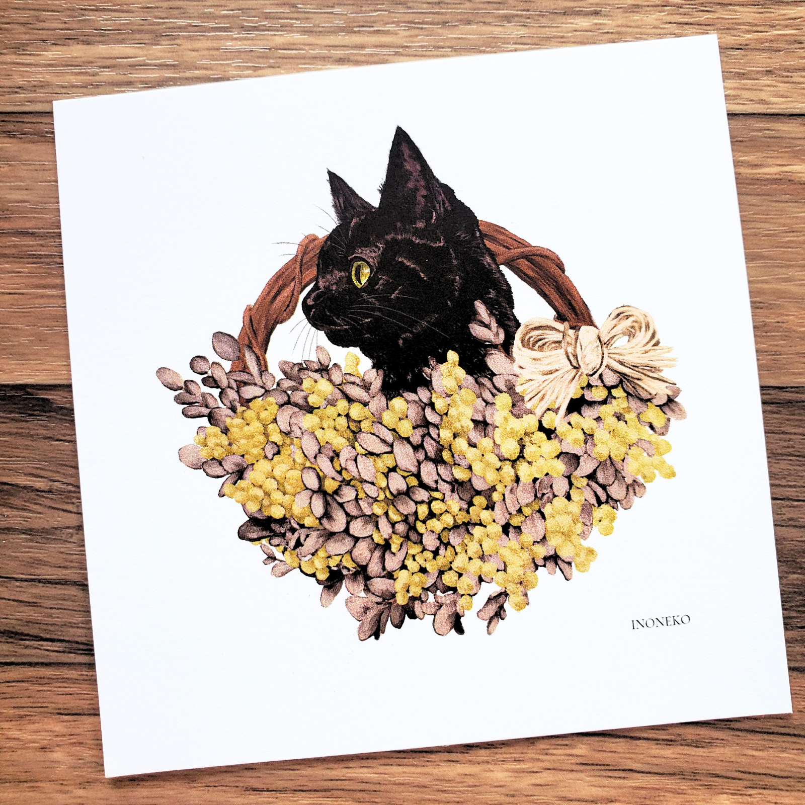 10cmフレームイラスト ミモザと黒猫 ホワイト