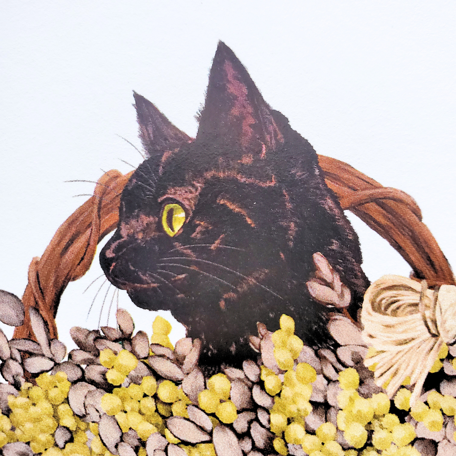 10cmフレームイラスト ミモザと黒猫 ホワイト