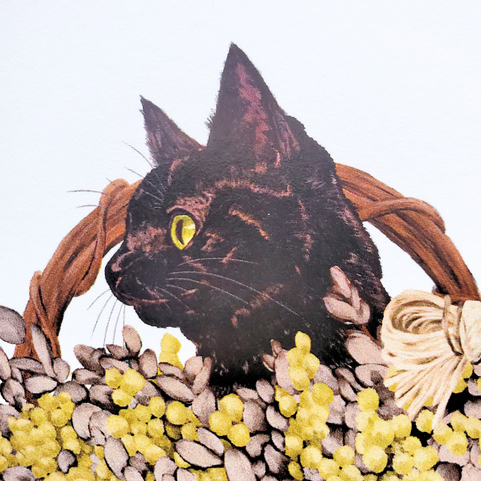 10cmフレームイラスト ミモザと黒猫 ホワイト